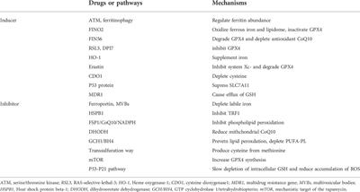 Ferroptosis in lymphoma: Emerging mechanisms and a novel therapeutic approach